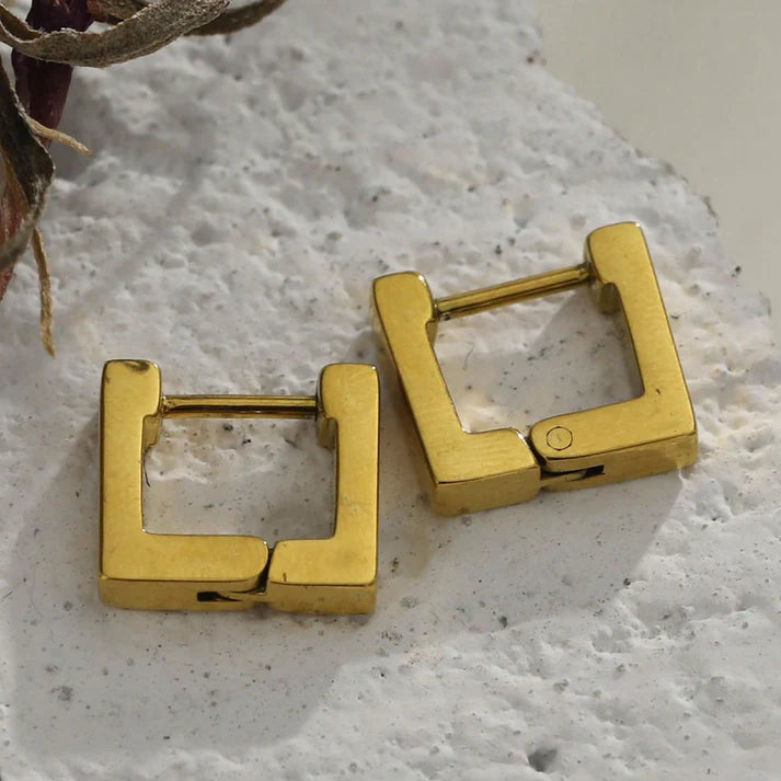 Dinami Earrings
